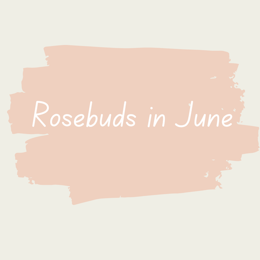 Miss Lillians Chock Paint Miss Lillians Chock Paint Miss Lillian's NO WAX Chock Paint - Rosebuds in June Miss Lillian's NO WAX Chock Paint - Rosebuds in June